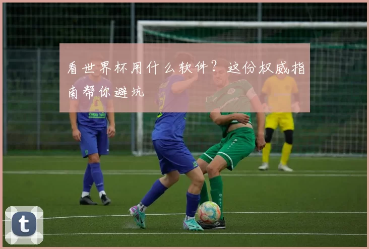 看世界杯用什么软件?这份权威指南帮你避坑