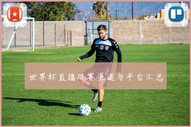 世界杯直播观赛渠道与平台汇总