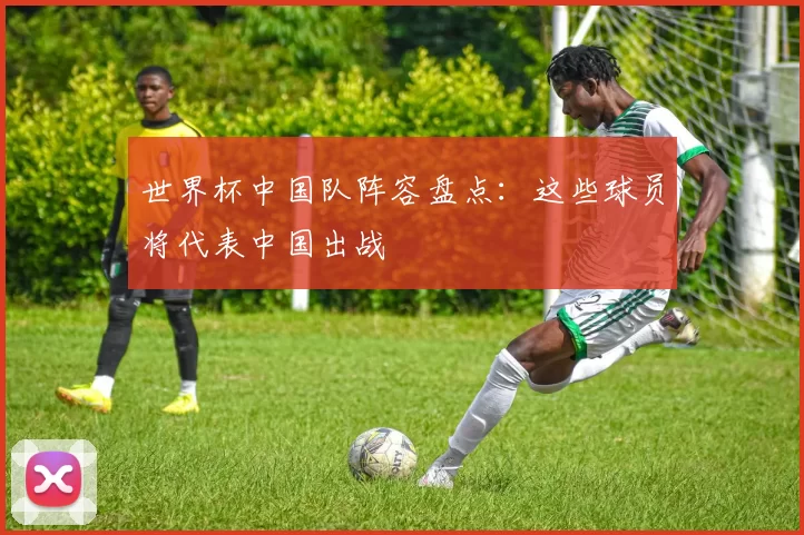 世界杯中国队阵容盘点:这些球员将代表中国出战