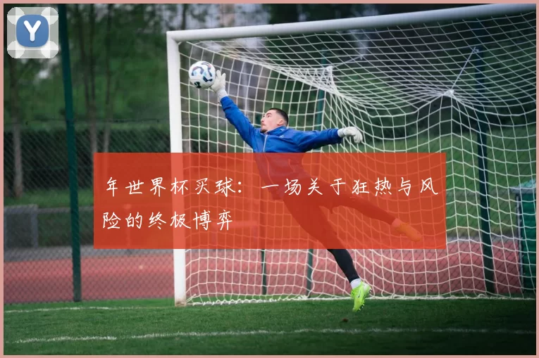 年世界杯买球：一场关于狂热与风险的终极博弈