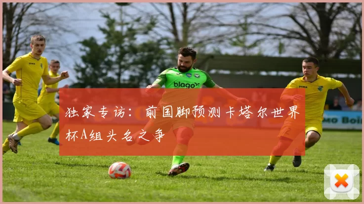 独家专访:前国脚预测卡塔尔世界杯A组头名之争