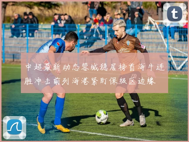 中超最新动态蓉城稳居榜首海牛连胜冲击前列海港紧盯保级区边缘