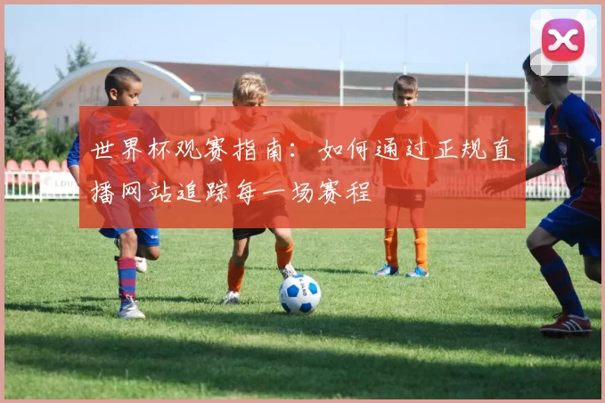 世界杯观赛指南：如何通过正规直播网站追踪每一场赛程