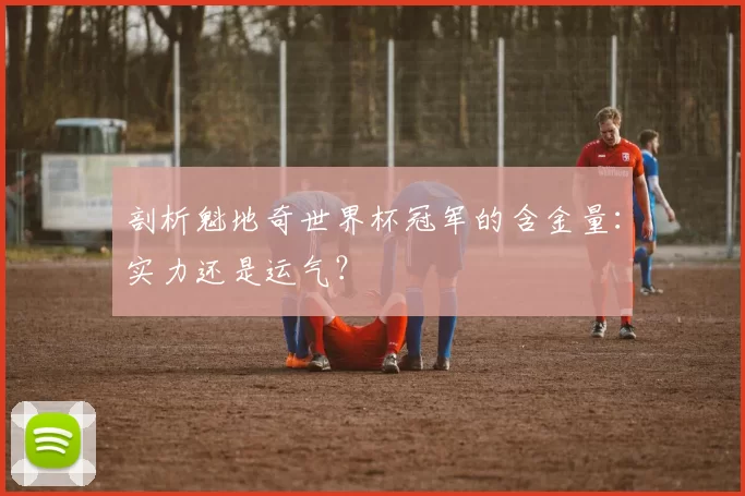 剖析魁地奇世界杯冠军的含金量：实力还是运气？