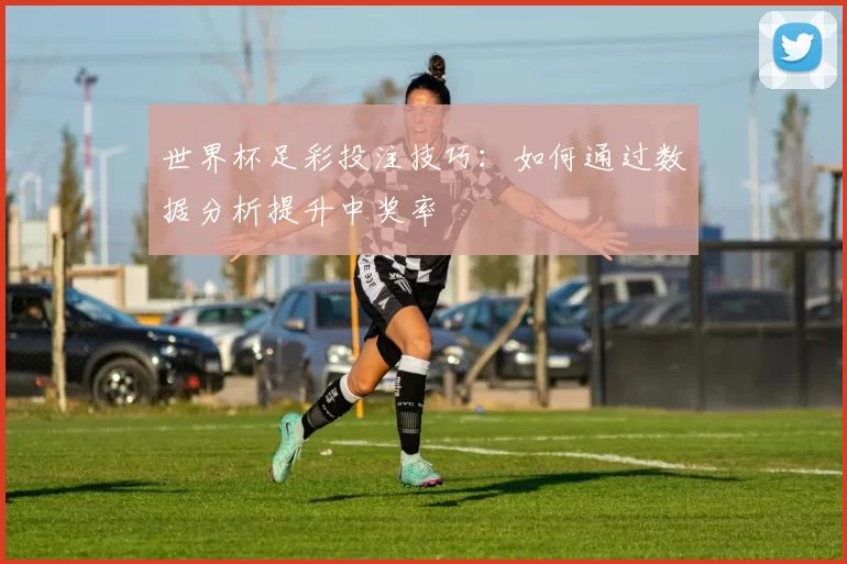 世界杯足彩投注技巧:如何通过数据分析提升中奖率