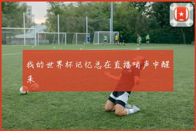 我的世界杯记忆总在直播哨声中醒来