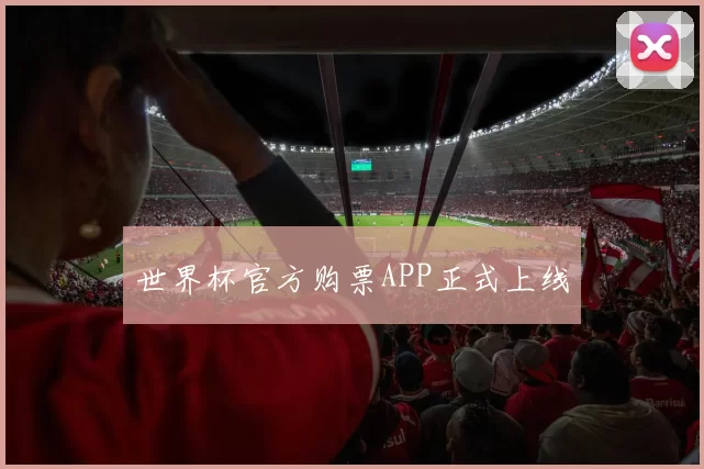 世界杯官方购票APP正式上线