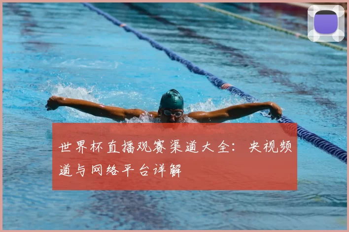 世界杯直播观赛渠道大全:央视频道与网络平台详解