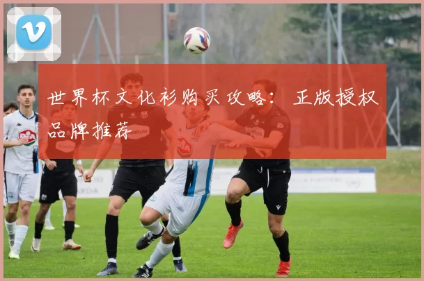 世界杯文化衫购买攻略：正版授权品牌推荐