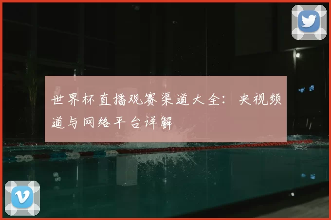 世界杯直播观赛渠道大全:央视频道与网络平台详解