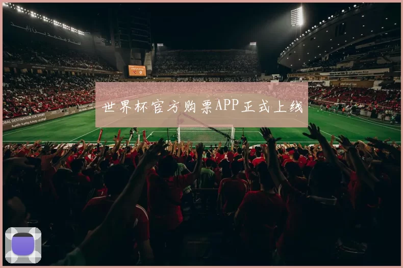 世界杯官方购票APP正式上线
